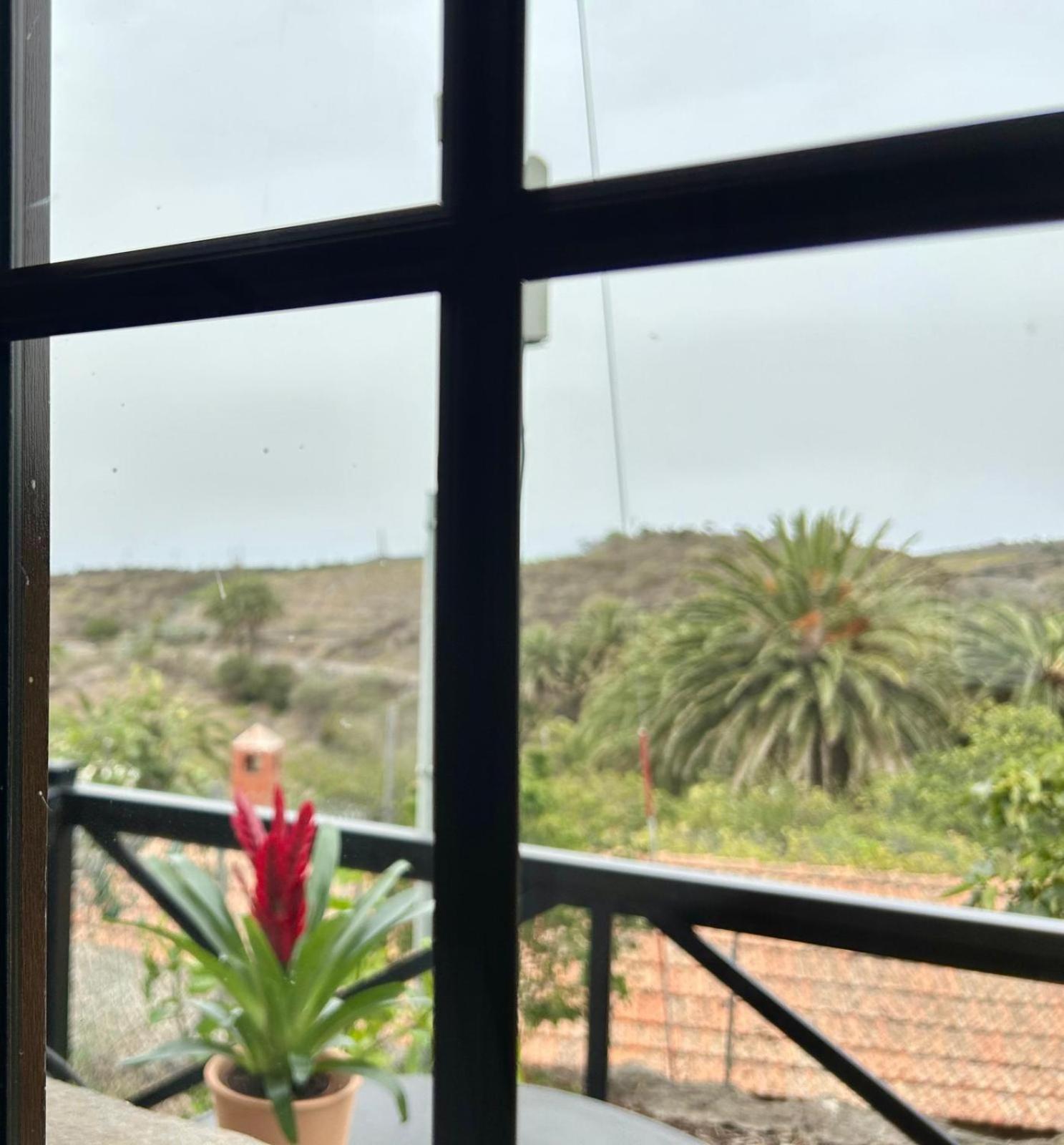 Jardin Las Hayas Valle Gran Rey Exterior foto